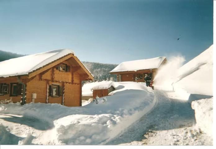 Le "Chalet De Minette" 2 Etoiles Ла-Бресс Екстер'єр фото