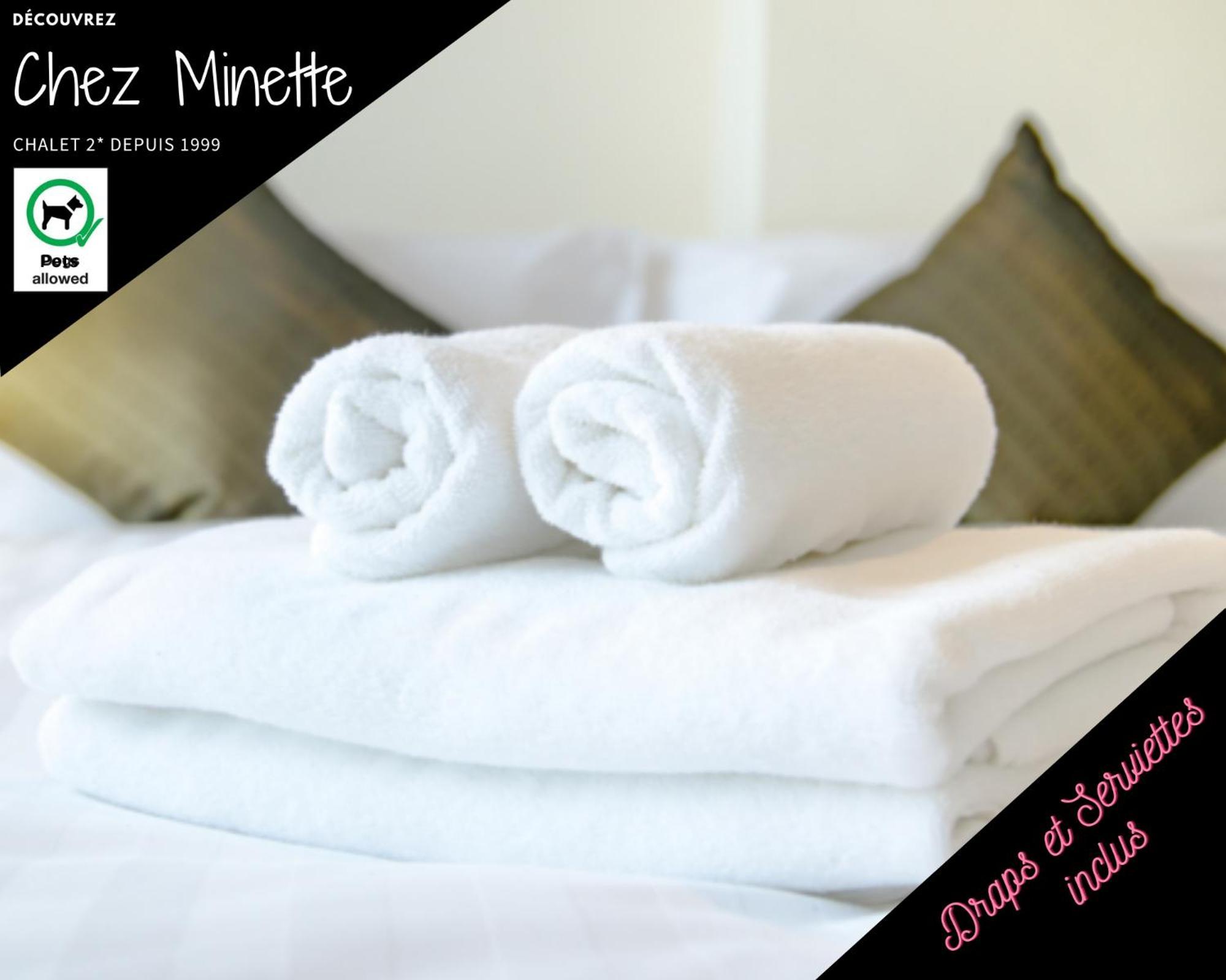 Le "Chalet De Minette" 2 Etoiles Ла-Бресс Екстер'єр фото